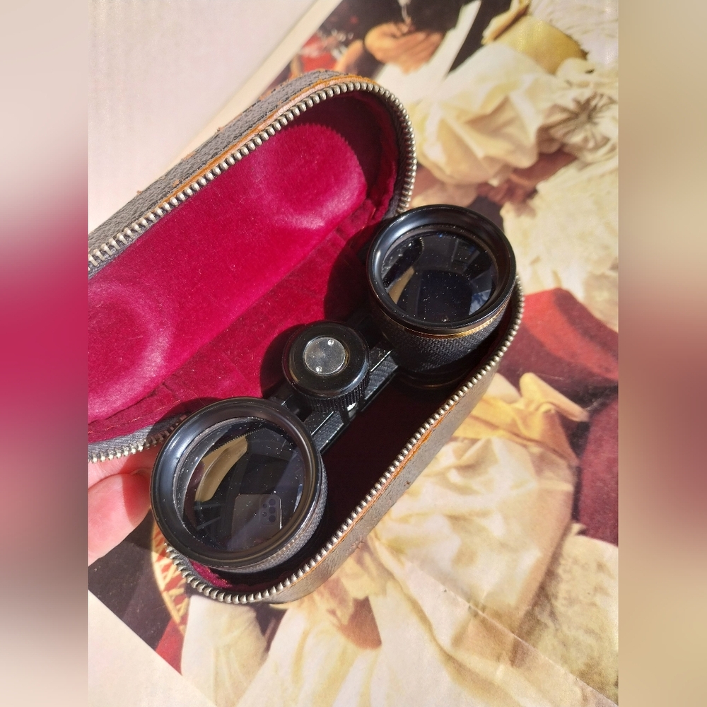Black and Gold Binoculars with Case - Picture 11 of 11